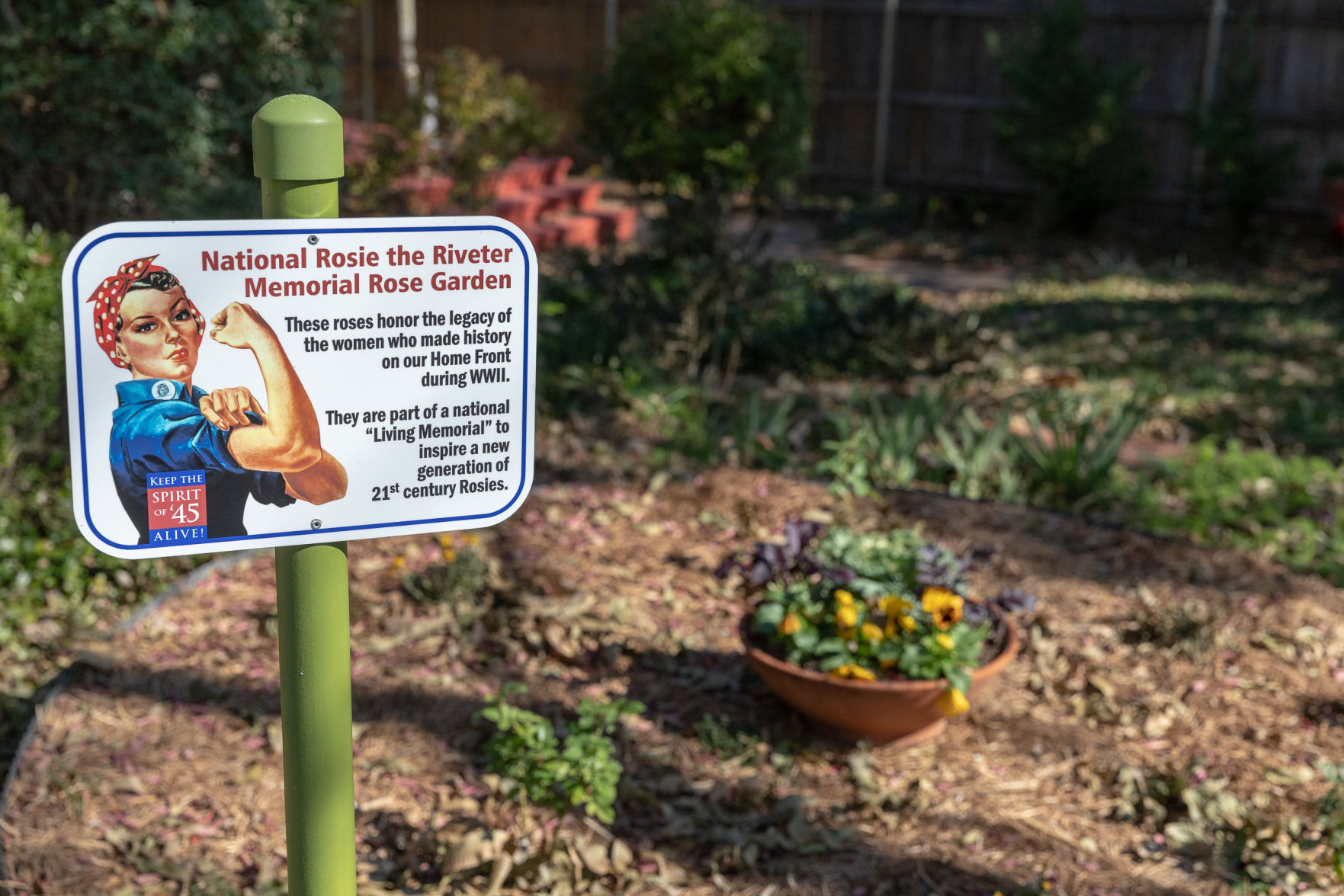 Local Girl Scouts collaborate on Arlington Rosie the Riveter memorial rose garden and mural
